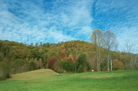 15.64 Acres in Marble, NC