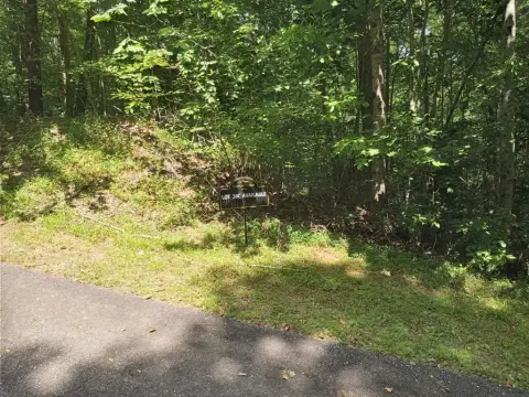 Buildable Wooded Residential Lot