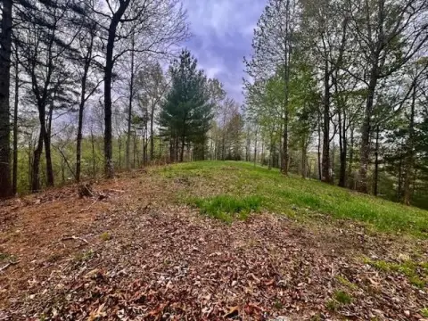 Mountain View Home Lot