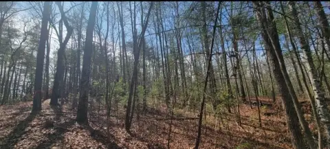 Buildable Mountain Retreat Home Lot