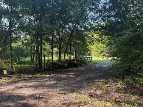 Unrestricted Tree-Covered Acreage