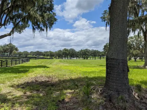 Picturesque Land in Silverleaf Hills