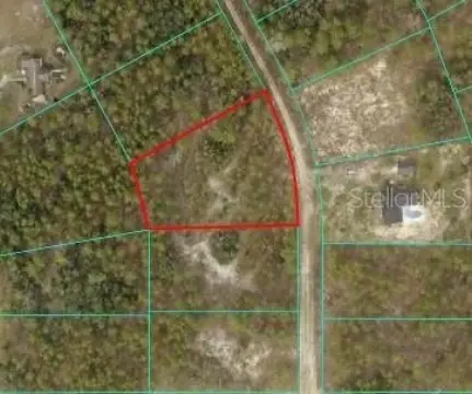 Spacious Buildable Homesite in Ocala