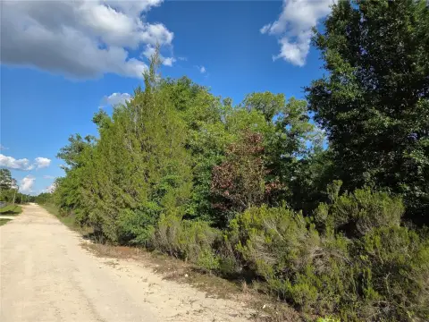 Heavily Wooded Homesite in Bronson