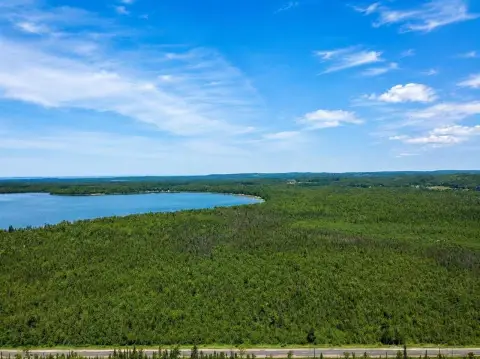 Heavily Wooded Hunting Recreation Land