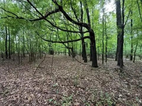 Fayette County Land Tract