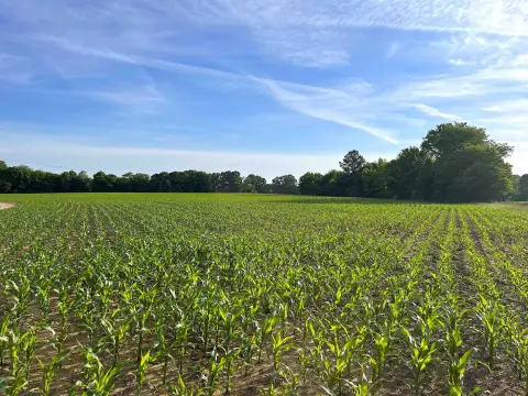 Hardeman County Land Tract