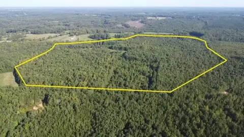Hunting Land with Established Trails