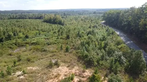 Rural Hunting Land