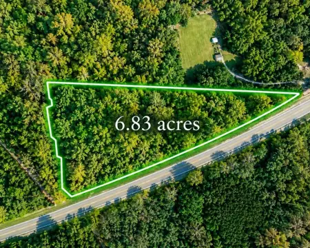 Timbered Land with Road Access