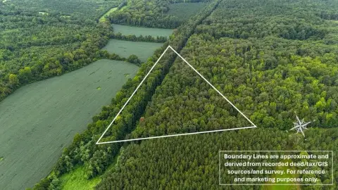 Wooded Hunting Land