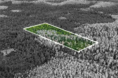 5.19 Acres Land in Orlando