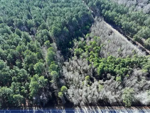 Heavily Wooded Land in Fairmont, NC