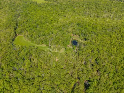 Dixon, MO Hunting Land