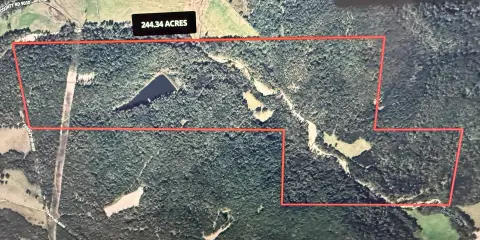 Dixon, MO Hunting/Recreational Land