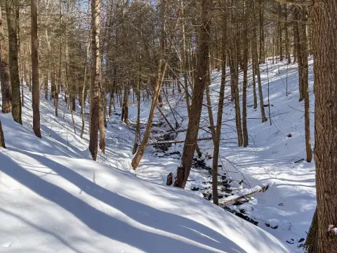 Recreation Land for Cabin or Tiny Home
