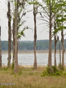 Cleared Waterfront Lot in Chipley
