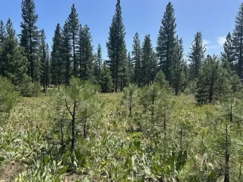 Level Golf Community Homesite Land