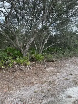 Land in Growing Marion County