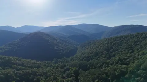 Mountain Hunting Land