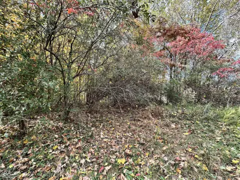 Residential Lots in Foxcliff South