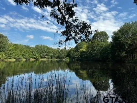 Wooded Acreage in Van, Texas