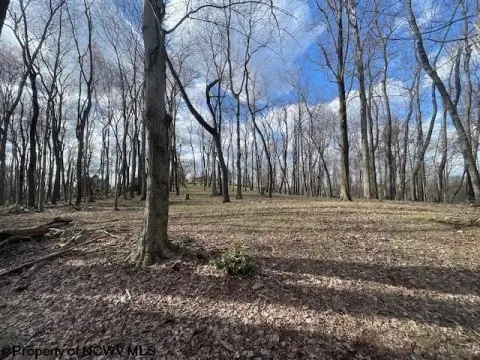 Residential Land in Morgantown, WV