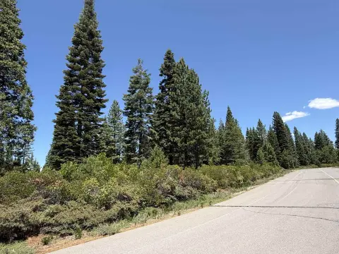 Lake Almanor Level Building Lot