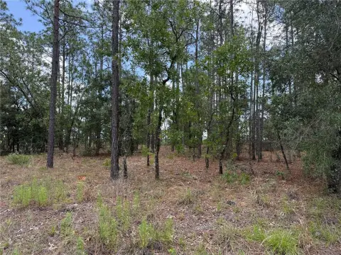 Land in Rainbow Lakes Estates