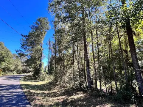 31.94 Acres in Picayune, MS