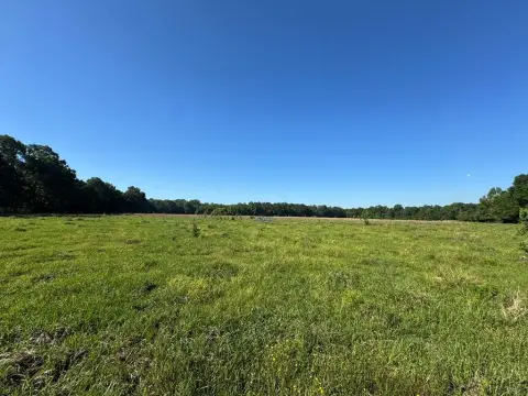 Poplarville Vacant Land For Sale