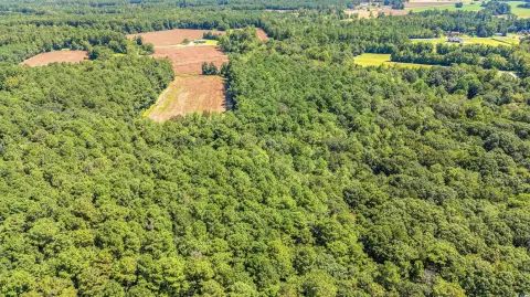 Loris, SC Vacant Land Parcel