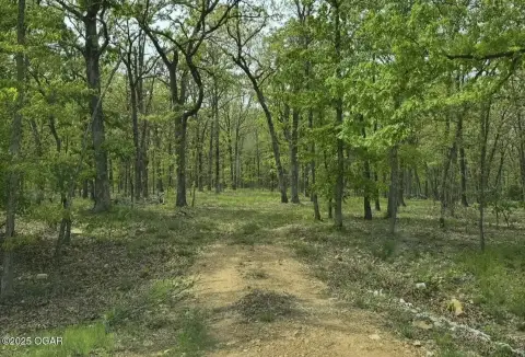 Residential Acreage in Joplin, MO