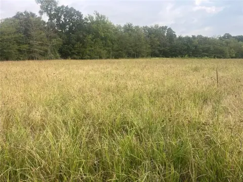 Land For Sale in Bagwell