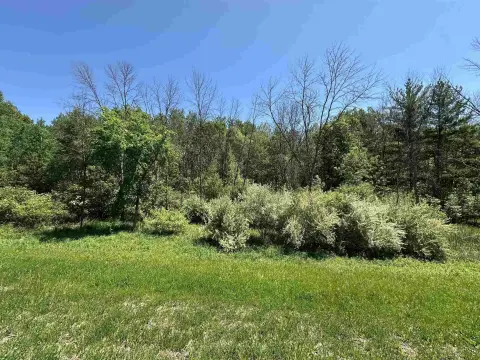 Two-Acre Wooded Lot in Hobart