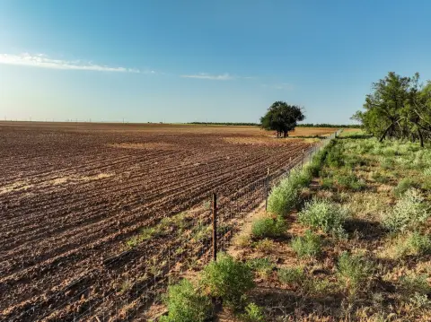 Agricultural Land with County Road Access
