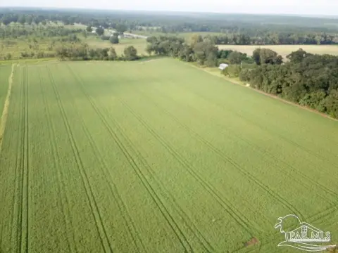 Agricultural Land in Santa Rosa