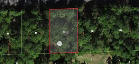 Residential Land in Citrus Springs