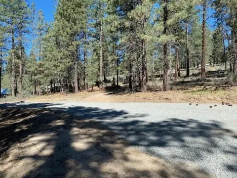 Wooded Land Parcel in Portola