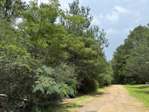 Wooded Vacant Land Lots