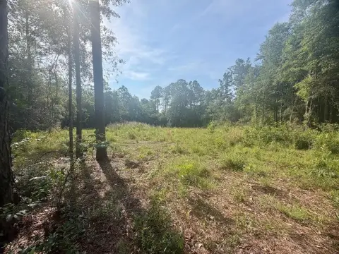 Spacious Lot in Lake David