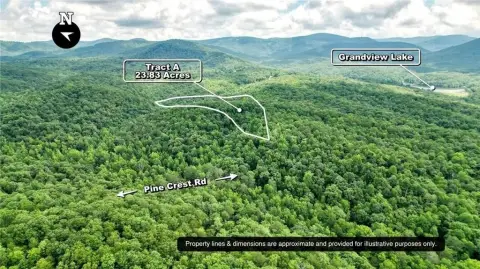 Wooded Land Tract