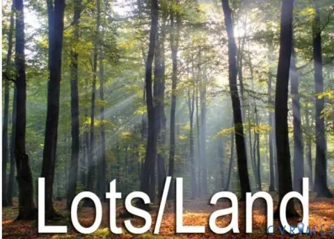 20 Acres of Natural Land