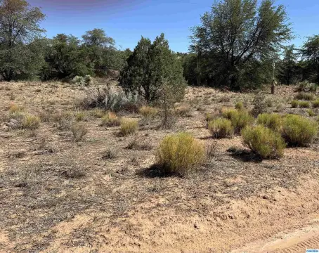 5 Acres in Silver City