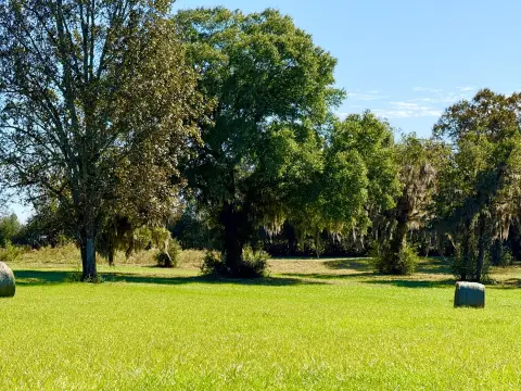 Agricultural Land with Pasture