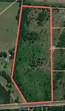 34 Acres of Hunting Land