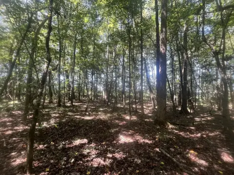 24 Acres Commercial Land Opportunity