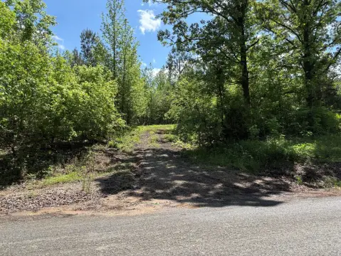 Wooded Hunting Land Acreage