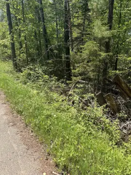 Wooded Land Near National Forest