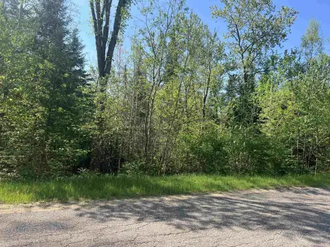 Wooded Land in Vacation Area